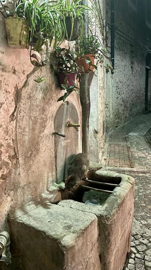 Le Petit Bijou Di Dolceacqua, Per Un Momento Romantico Buitenkant foto